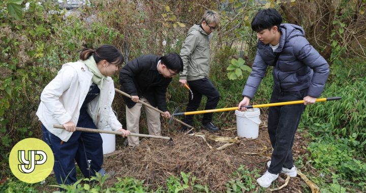 Hidup hijau akar rumput: Mahasiswa Universitas Lingnan memberdayakan masyarakat menuju praktik limbah berkelanjutan – YP