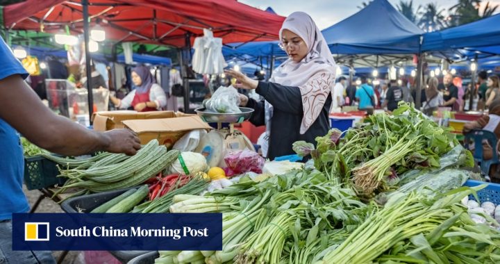 Warga Malaysia dapat membayar lebih untuk sayuran karena eksodus pekerja memicu kekhawatiran pasokan: ‘penduduk setempat tidak menginginkan pekerjaan’