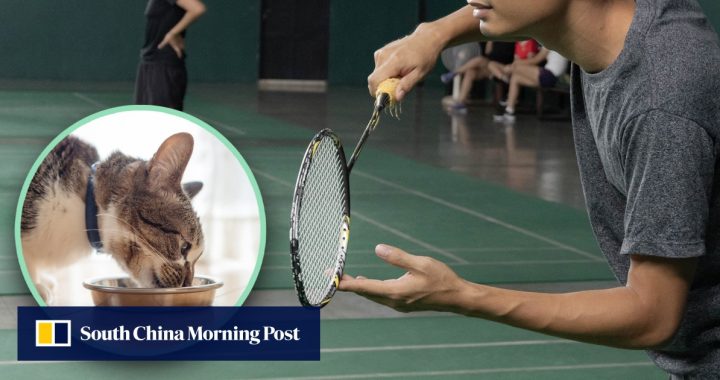 Pemain Bulutangkis China Lumpuh Setelah Berdiri di Atas Kucing Liar di Stadion Selama Pertandingan, Pengadilan Perintahkan ‘Penjaga’ Kucing Bayar US $ 33.000 Sebagai Kompensasi